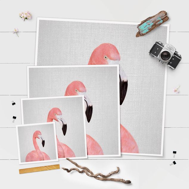 Poster - Flamingo Fabian - Quadrat 1:1