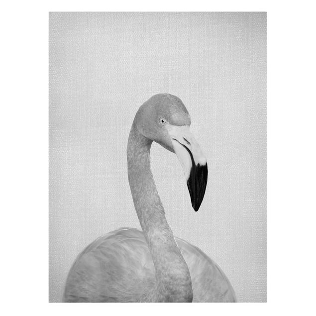 Tierbilder auf Leinwand Flamingo Fabian Schwarz Weiß