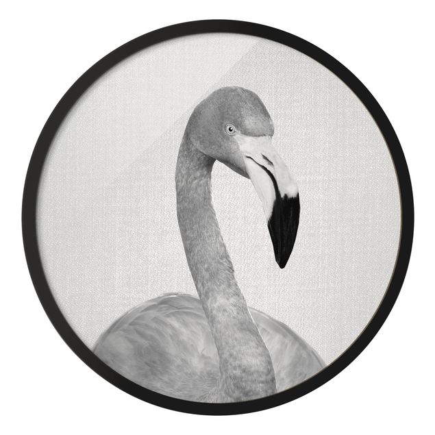 Bilder mit Rahmen Flamingo Fabian Schwarz Weiß