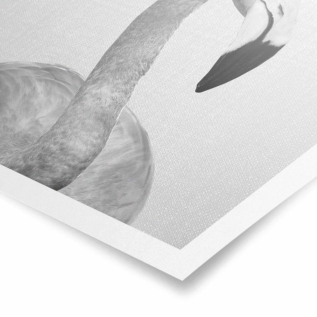 Bilder für die Wand Flamingo Fabian Schwarz Weiß
