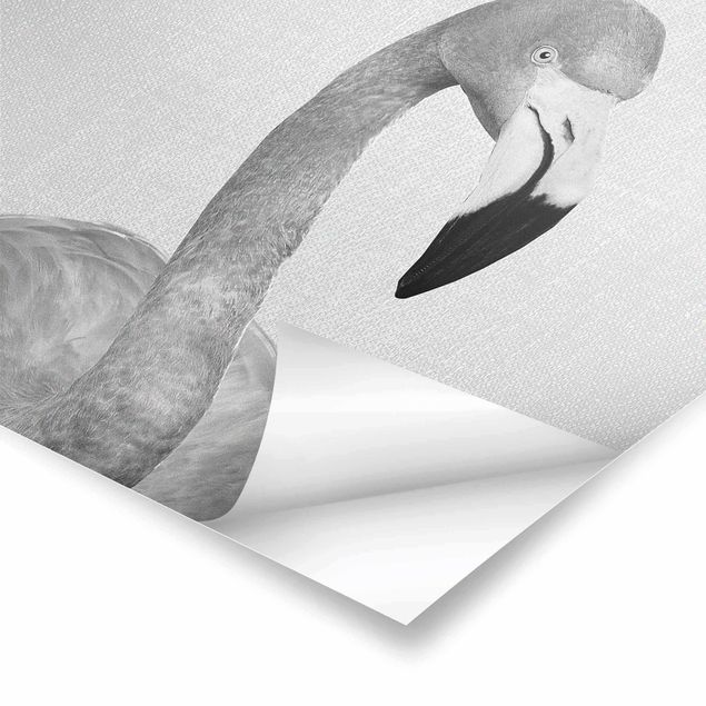 Poster - Flamingo Fabian Schwarz Weiß - Quadrat 1:1