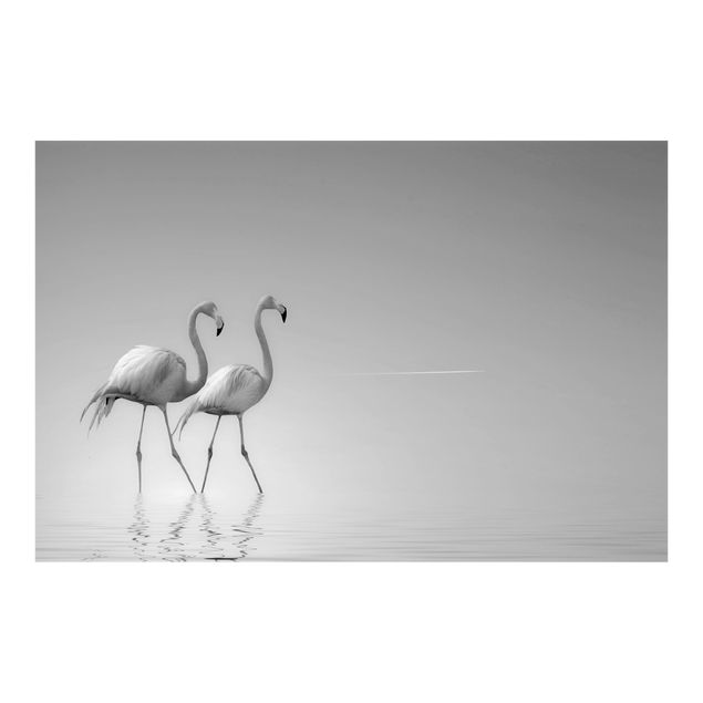 Fototapete - Flamingo Love Schwarz-Weiß - Querformat