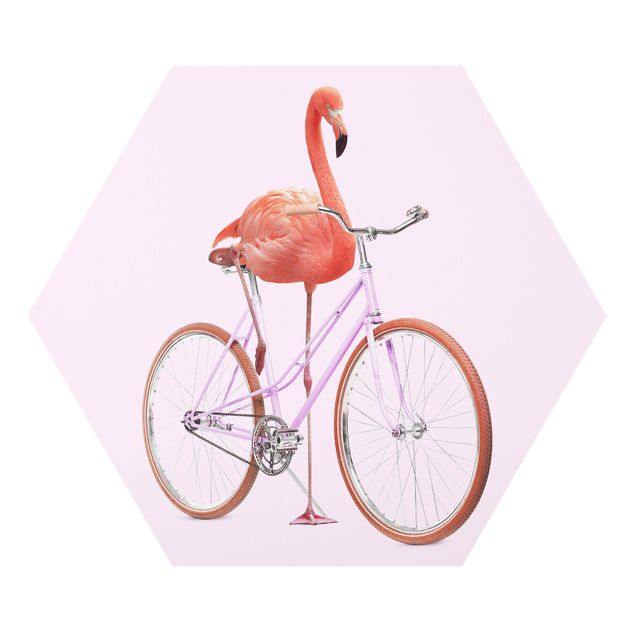 Hexagon Bild Forex - Flamingo mit High Heels