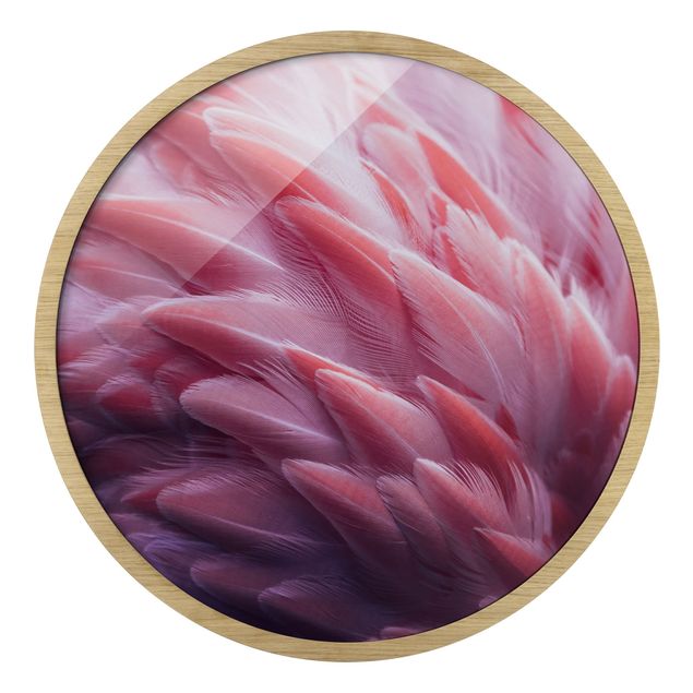 Bilder für die Wand Flamingofedern Close-up