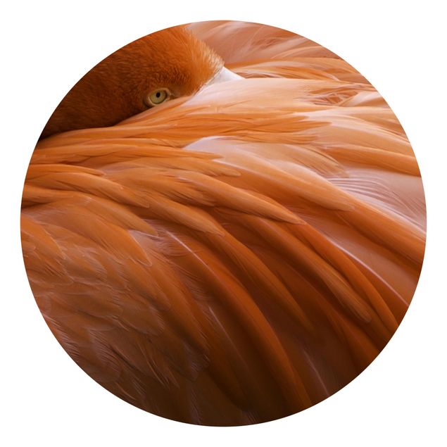 Runde Tapete selbstklebend - Flamingofedern