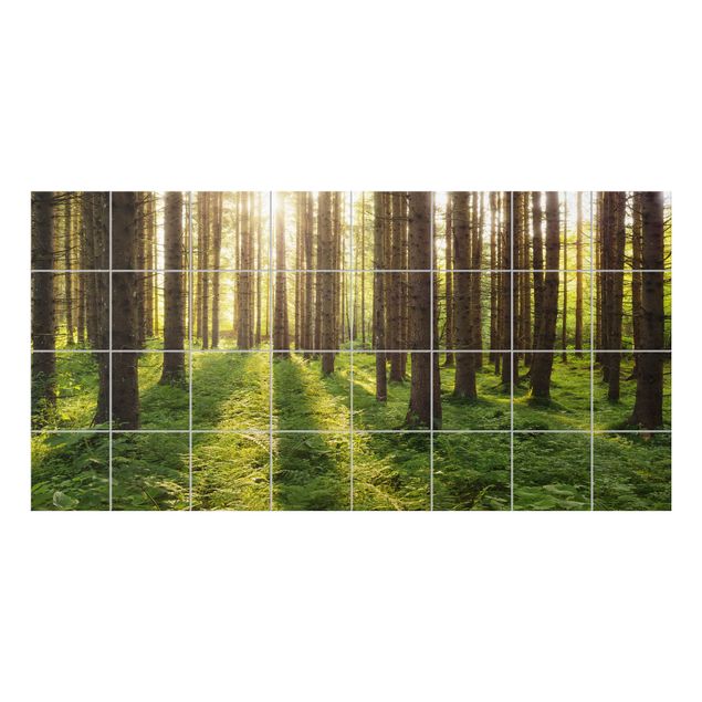 Fliesenbild - Sonnenstrahlen im Grünem Wald