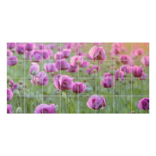 Fliesenbilder Violette Schlafmohn Blumenwiese im Frühling