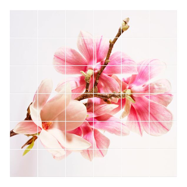 Fliesenbilder Magnolienblüten