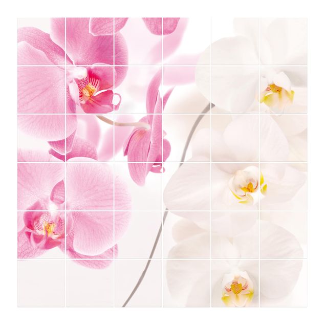 Fliesenbilder Delicate Orchids