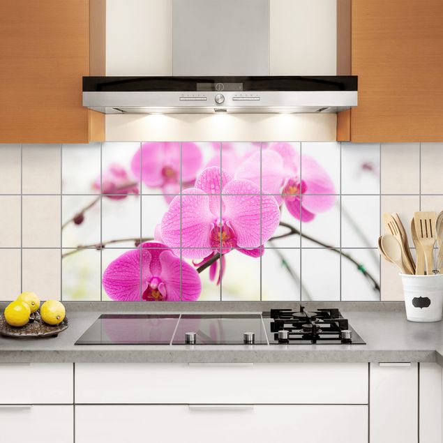 Fliesenbilder Floral Nahaufnahme Orchidee