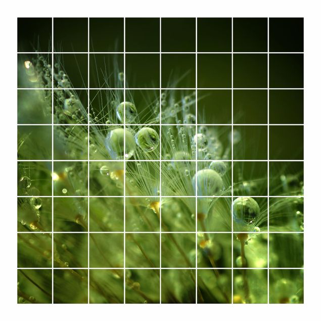 Fliesenbild - Grüne Samen im Regen - Fliesensticker Set quadratisch