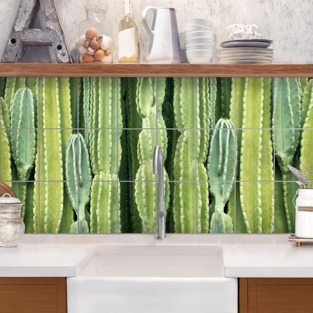 Klebefolien Kaktus Wand
