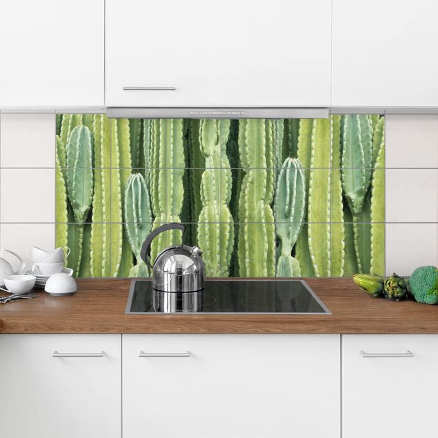 Fliesenbilder Kaktus Wand