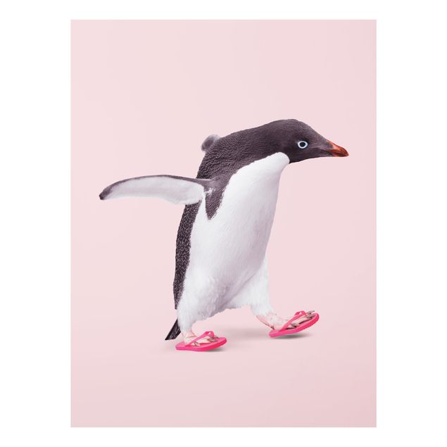 Bilder auf Glas Flip-Flop Pinguin