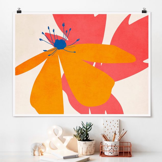 Kunstdrucke Poster Florale Schönheit Rosa und Orange