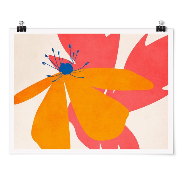 Poster Florale Schönheit Rosa und Orange