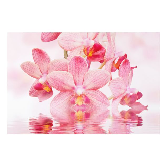 Bilder für die Wand Rosa Orchideen auf Wasser