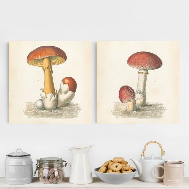 Wandbilder XXL Französische Pilze