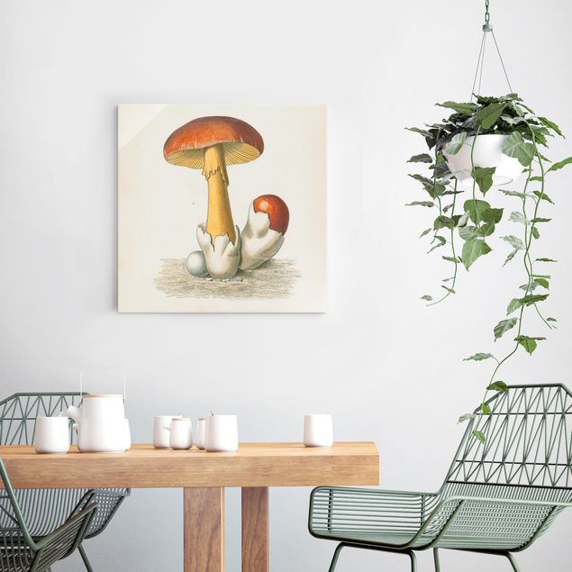 Schöne Wandbilder Französische Pilze