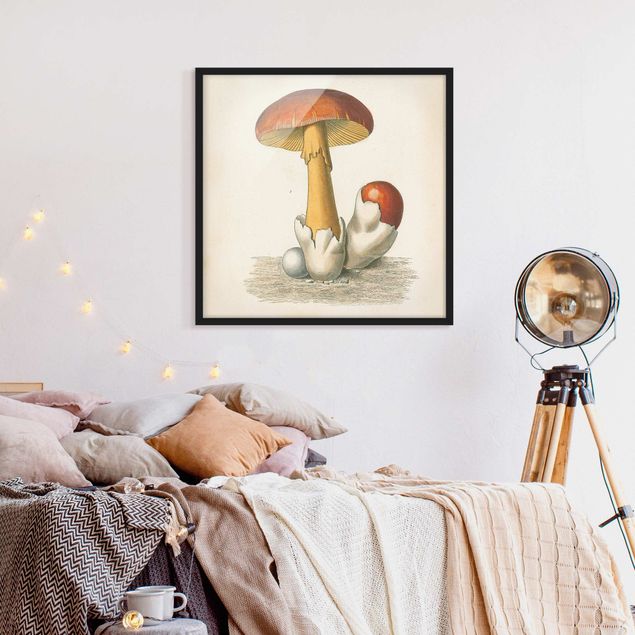 Bilder für die Wand Französische Pilze