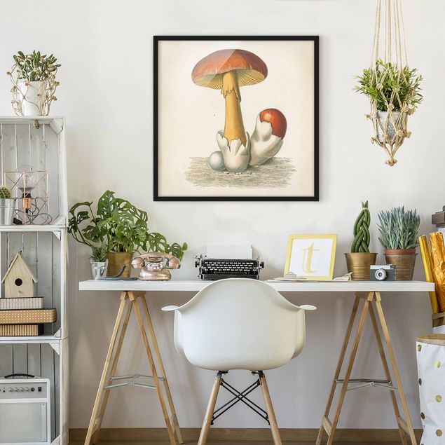 Wandbilder mit Rahmen Französische Pilze