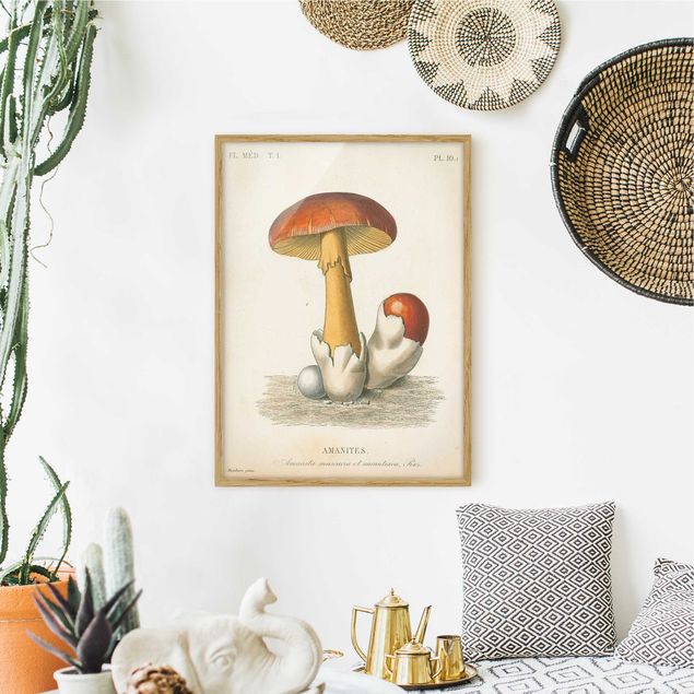 Bilder für die Wand Französische Pilze