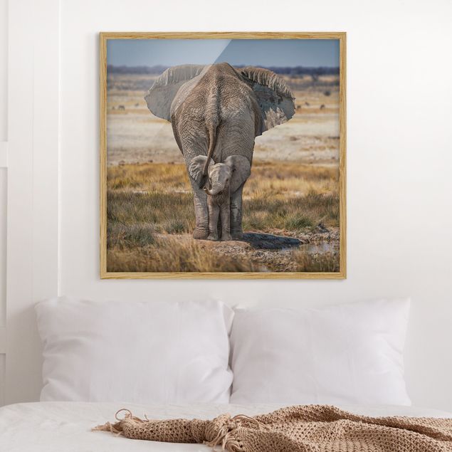 Wandbilder Tiere Frecher Elefant