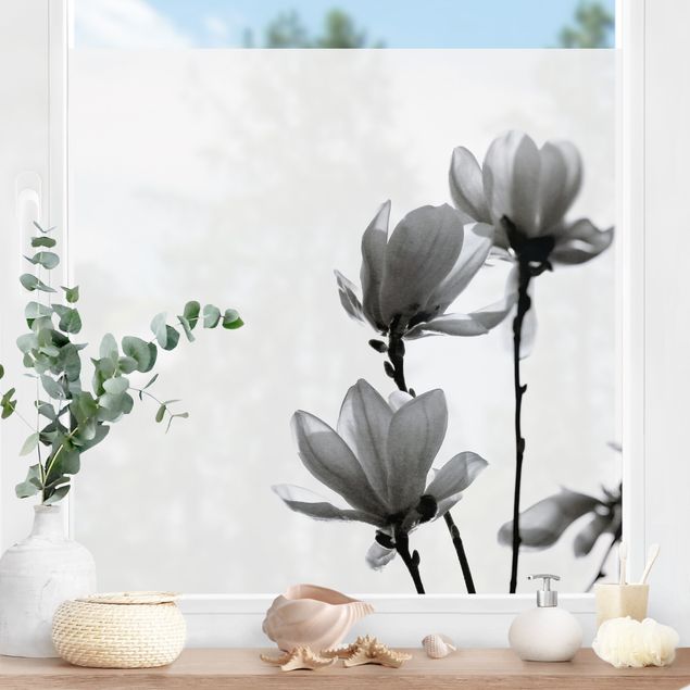 Fensterdeko Frühling Frühlingsbote Magnolie Schwarz Weiß