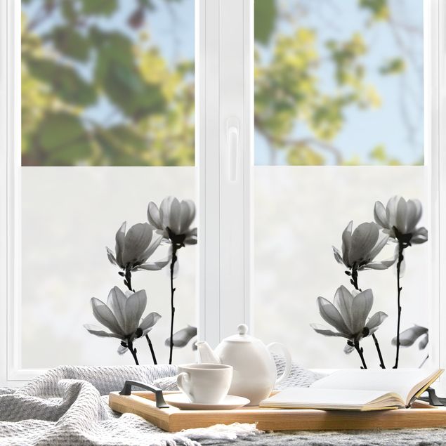 Fensterbilder Weiß Frühlingsbote Magnolie Schwarz Weiß