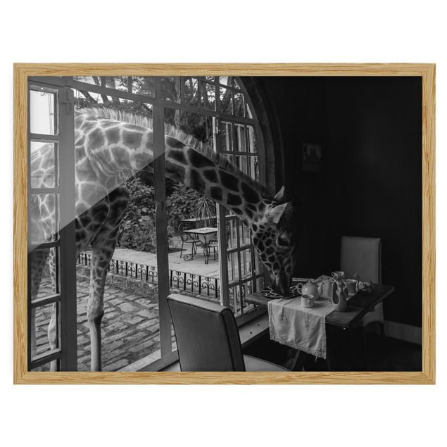 Bilder mit Rahmen Frühstück mit Giraffe