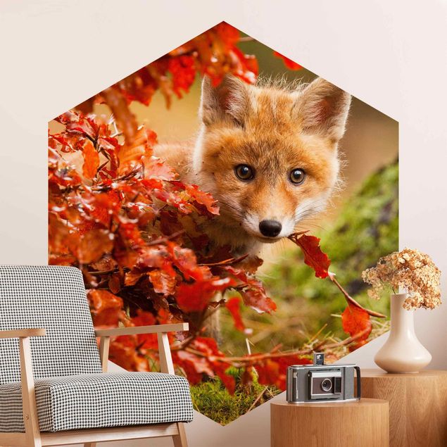 Fototapete modern Fuchs im Herbst