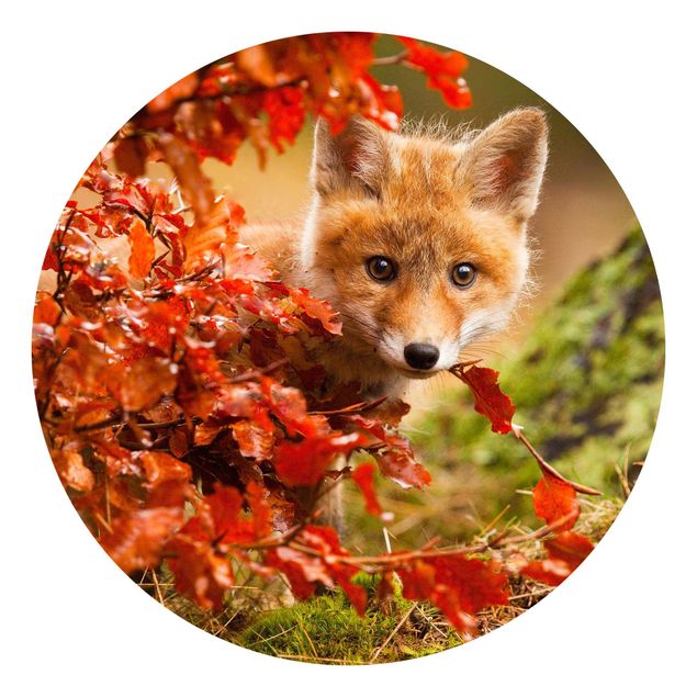 Wandtapete Tiere Fuchs im Herbst