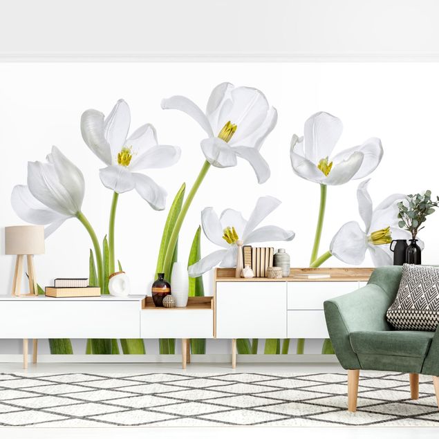 Fototapete - Fünf Weiße Tulpen - Querformat