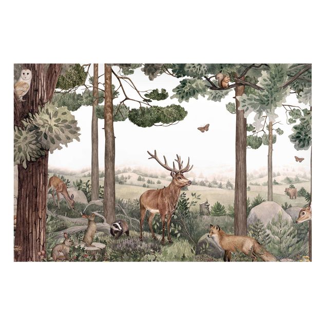 Wandbilder Tiere Geheime Stille im Zauberwald