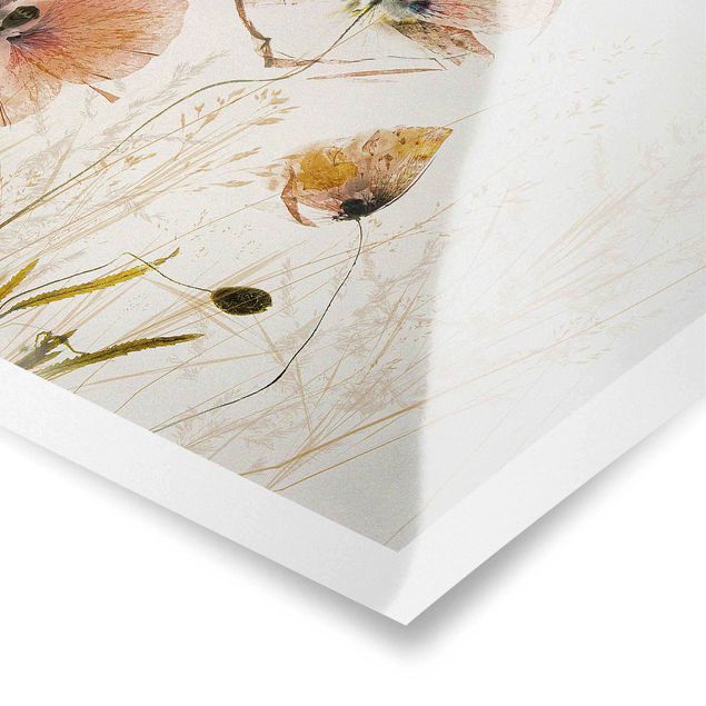 Poster - Getrocknete Mohnblüten mit zarten Gräsern - Querformat 3:2