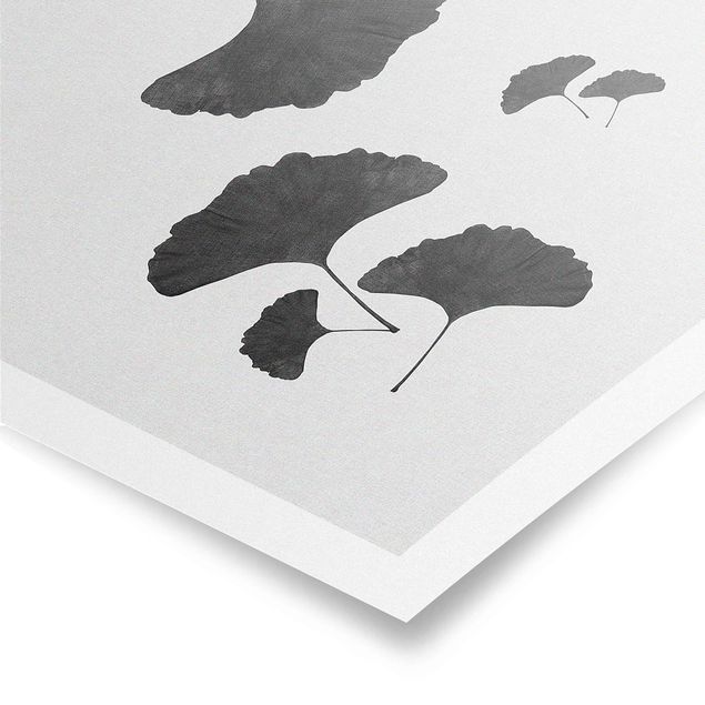 Poster - Ginkgo Komposition in Schwarz-Weiß - Hochformat 2:3