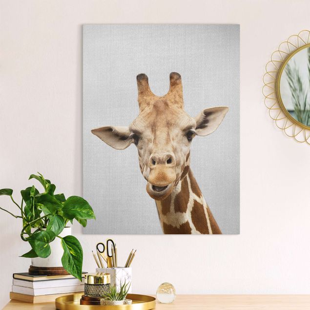 Leinwandbilder XXL Giraffe Gundel