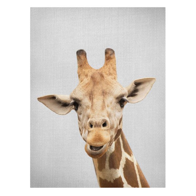 Leinwandbilder Tier Giraffe Gundel