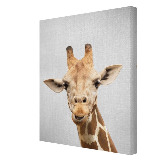 Leinwandbilder Wohnzimmer modern Giraffe Gundel