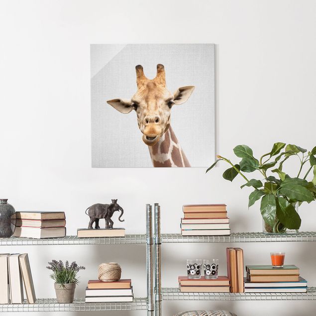 Glasbilder Schwarz-Weiß Giraffe Gundel