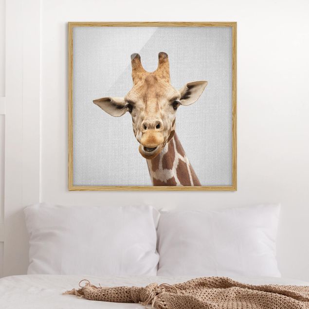 Wandbilder Tiere Giraffe Gundel