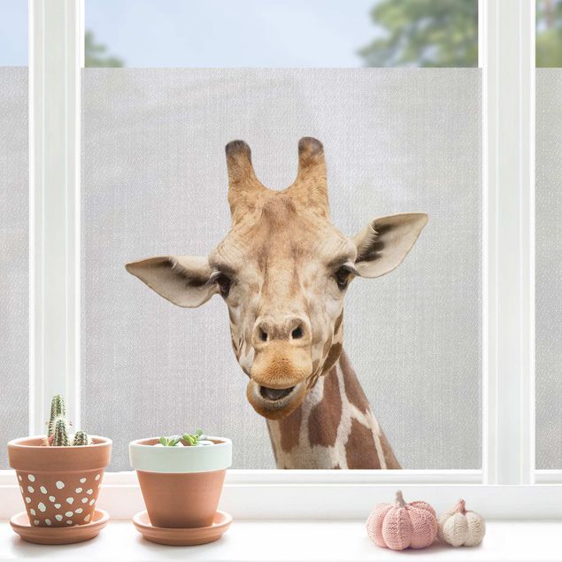 Fensterbild Tiere Giraffe Gundel