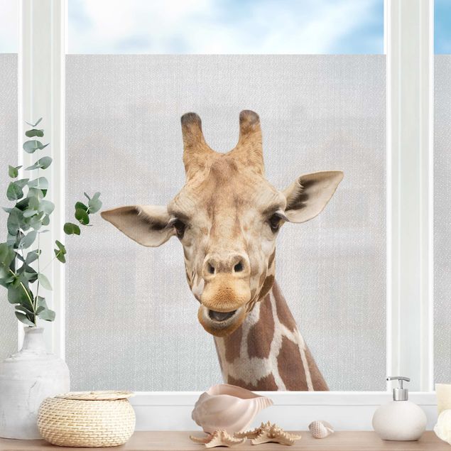 Fensterfolie Farbig Giraffe Gundel