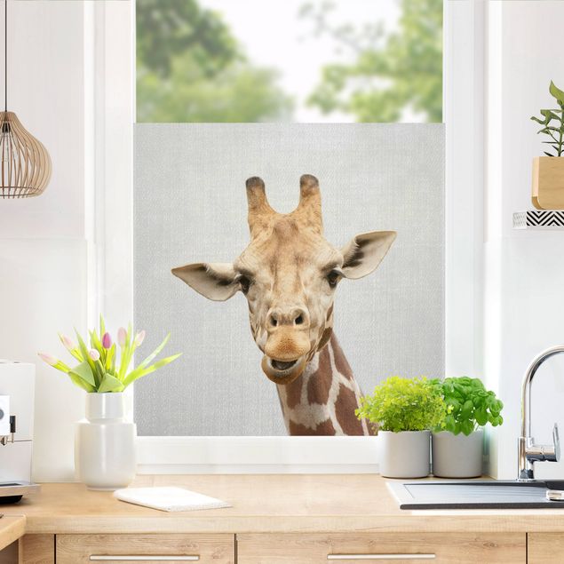 Fensterfolie Wohnzimmer Giraffe Gundel