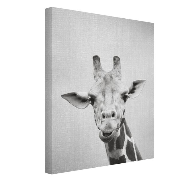 Leinwandbilder Schwarz-Weiß Giraffe Gundel Schwarz Weiß