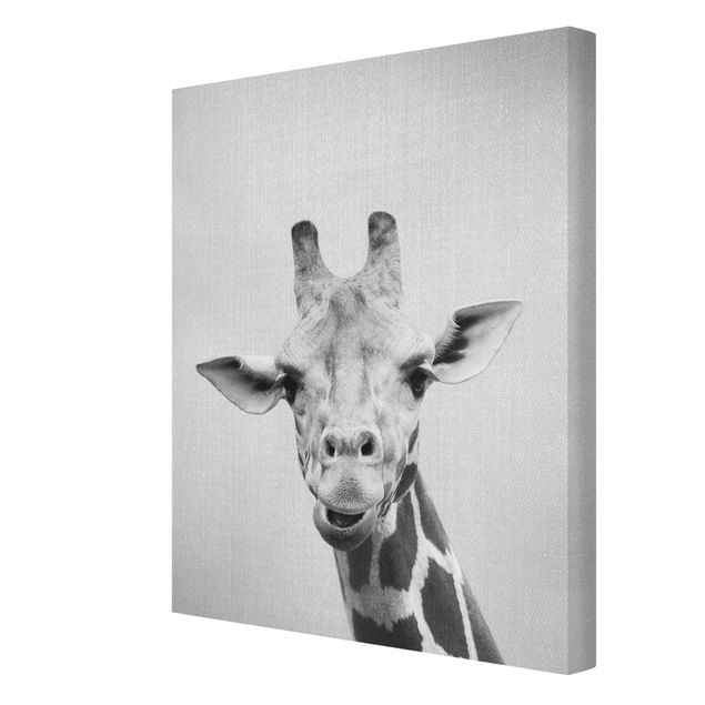 Wandbilder Wohnzimmer modern Giraffe Gundel Schwarz Weiß
