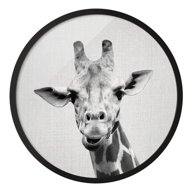 Bilder mit Rahmen Giraffe Gundel Schwarz Weiß