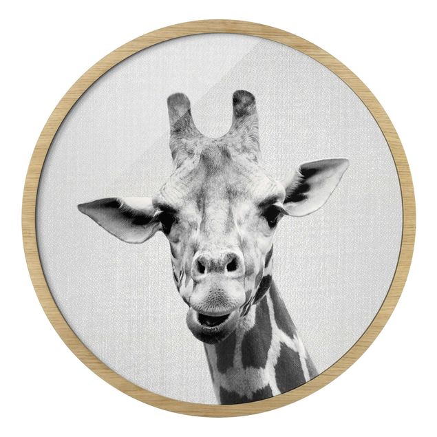 Bilder mit Rahmen Giraffe Gundel Schwarz Weiß