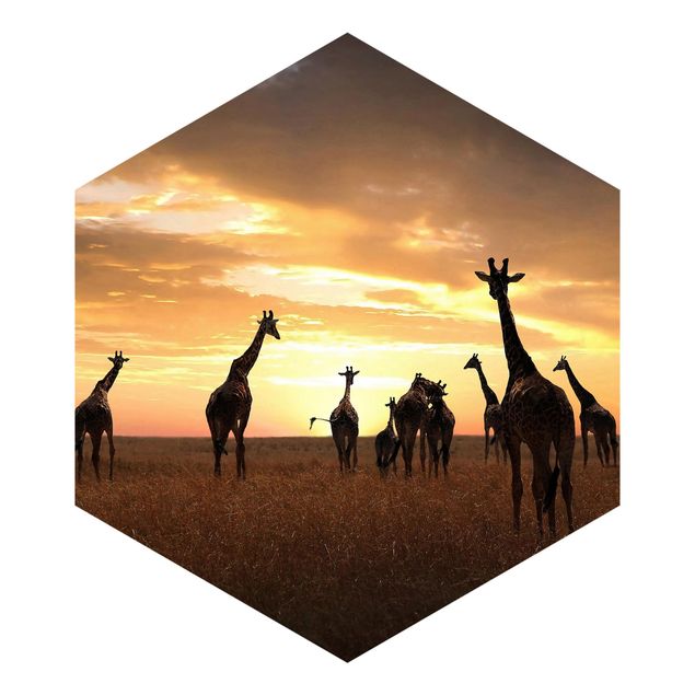 Hexagon Mustertapete selbstklebend - Giraffen Familie