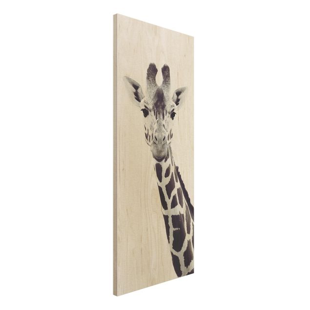 Holzbilder modern Giraffen Portrait in Schwarz-weiß